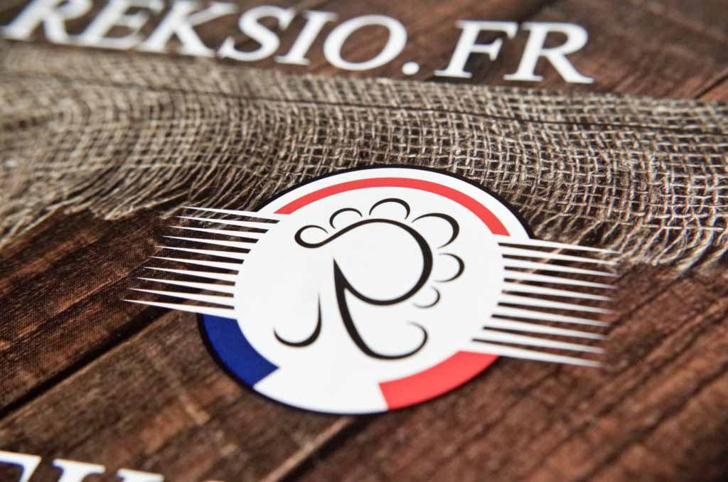 Zbliżenie na logo firmy reksio.fr oraz widoczna w powiększeniu symbolika tworzonego logo.