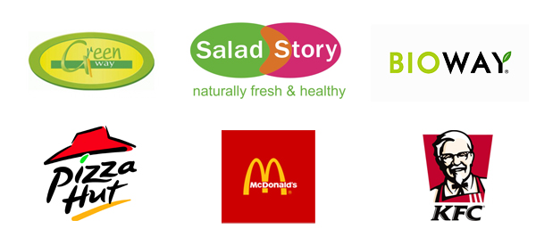 Stworzone projekty logo restauracji (m.in Green Way, Pizza Hut, KFC)