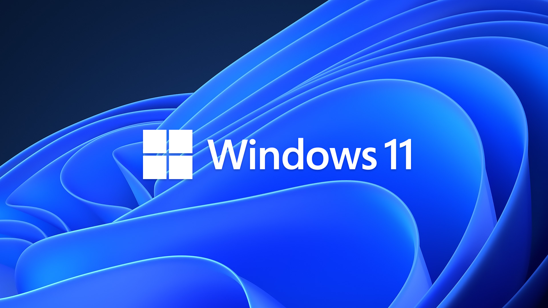 Identyfikacja wizualna Windows 11 – jak powstała?